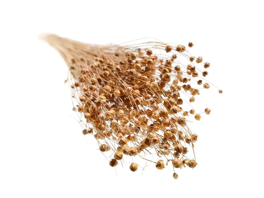 Flax-based natural fiber composites reach series production at BMW – Sustainable lightweight construction for cars and motorcycles 43 Naturfaserverbundwerkstoff 7