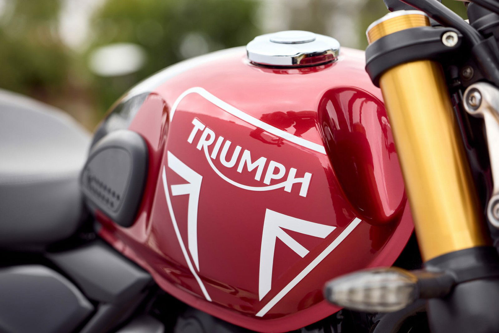 Triumph Speed 400 Details 7