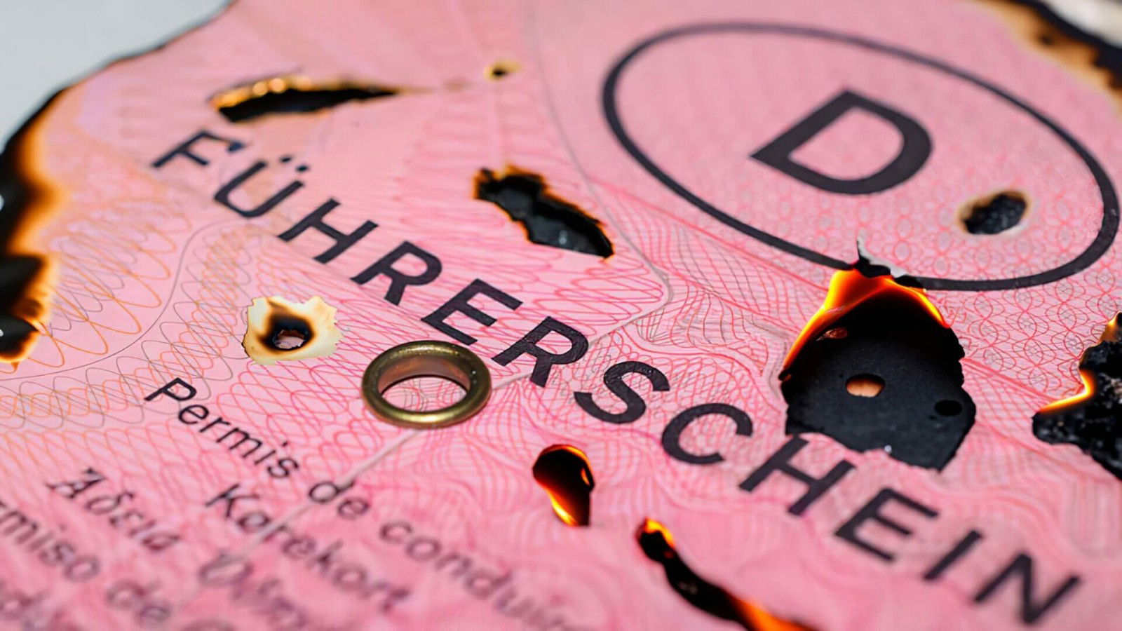 Fuehrerschein brennt 2000