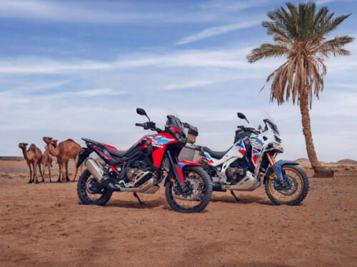 24YM CRF1100L AFRICA TWIN ADVENTURE SPORTS